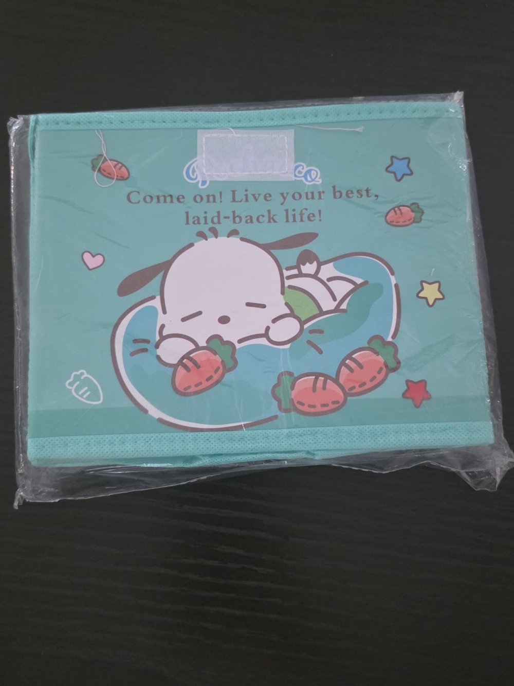 Sanrio Poccacho Storage Container
